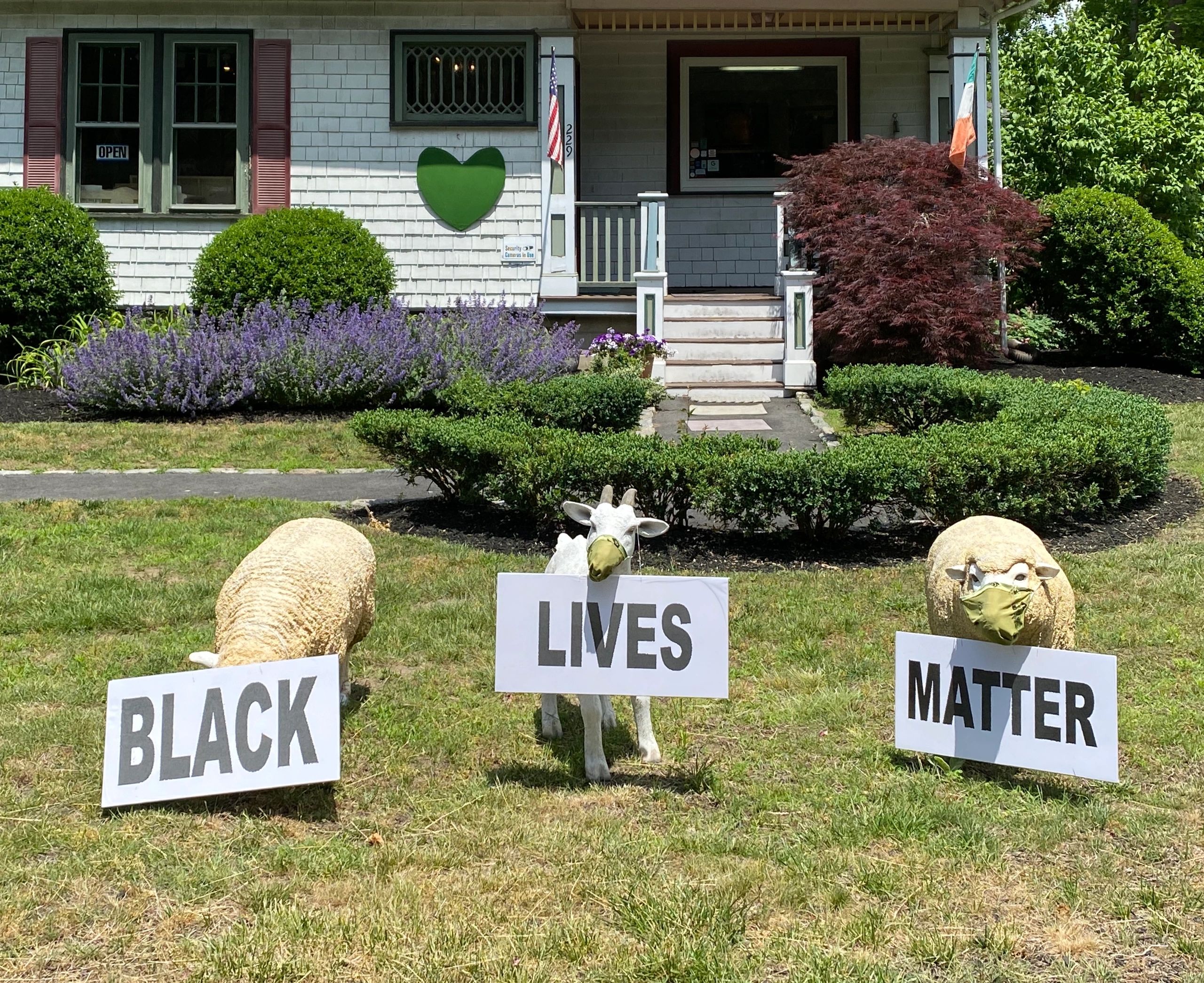 Aisling Gallery and Framing Picture Framing, Art Gallery, Irish Art